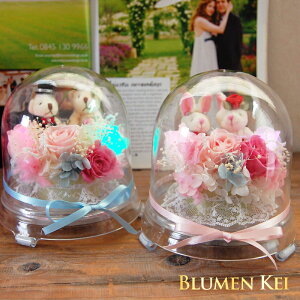 vU[uht[ Mtg  EGfBOt[^  bZ[WJ[ht ʂ  efB  rbg j LO EGfBO wedding gift Mtg h