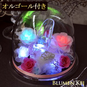 �v���U�[�u�h�t�����[ �Z���u���e�B�V���f���� �I���S�[���t���^�� �����L�O�� �v���[���g �M�t�g �����j�� �E�F�f�B���O �a���� �v���|�[�Y ���j�� ���� �� LED ���� ���킢�� ������� �t