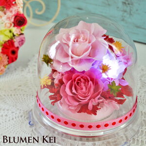 プリザーブドフラワー スノードームの人気商品 通販 価格比較 価格 Com