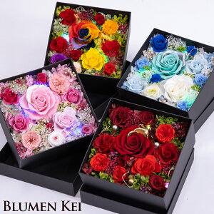  {bNXt[ fbNX@v[g v[g vU[uht[ Mtg^ bZ[WJ[ht  v[g t[{bNX a j LED Ԃ 