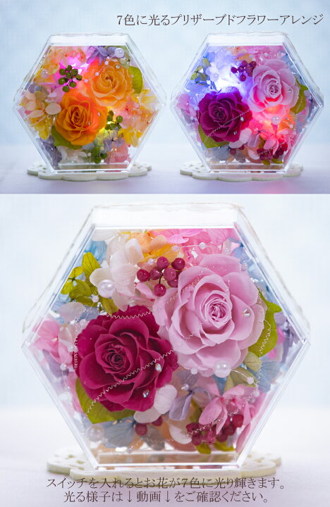 楽天市場 ギフト プレゼント 花 プリザーブドフラワー 光る ブリリアント あす楽 送料無料 即日発送 メッセージカード付き ドーム スノードーム プチギフト 引出物 誕生日 内祝い お試し Led ブルーメンケイ