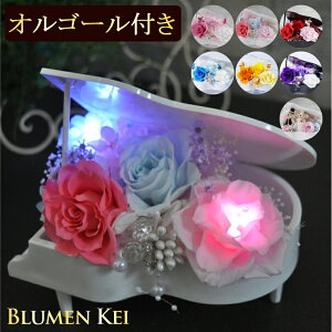  vU[uht[  7FɌ IS[ t sAm^̓ LO v[g Mtg j EFfBO a v|[Y j   ޏ LED  킢