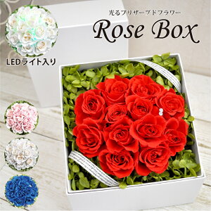   vU[uht[  [Y{bNX^̓ LO v[g Mtg IS[ j EFfBO a v|[Y j   LED  킢 