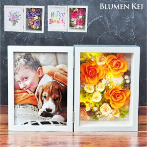  vU[uht[  _utHgt[^ʐ^ ̓ tHg LO v[g Mtg j EFfBO a v|[Y j   LED  