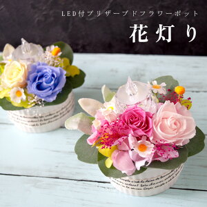 yԓzLEDCgt vU[uht[ t[|bg AWg Mtg CeAG av[g ̓ hV̓ j ސEj j ybgA 