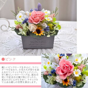 yt[K[f|bgzvU[uht[ AWg uL|bg hV̓ CeA LO v[g Mtg j EFfBO a v|[Y j 