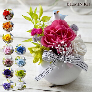 mvU[uht[ 12F̐t[^ bZ[WJ[h v[g Mtg LO j a j   Aj}   킢 u[o[h t[ 