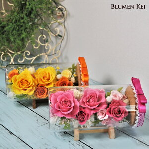 vU[uht[  {gt[@ KXh[ ^̓ bZ[WJ[h LO v[g Mtg j EFfBO VY Vw a v|[Y j   