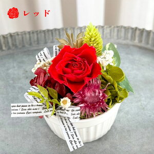 JbvP[Lt[ vU[uht[ Mtg v[g 蕨 a   ͂Ȃ  a ސEj j LO uU[ht[ CeA ʉ 