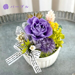 y|Cg10{11/15`11/27܂ŁzJbvP[Lt[ vU[uht[ Mtg v[g 蕨 a   ͂Ȃ  a ސEj j LO uU