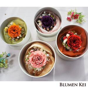  vU[uht[  L[gȃRT[W^̓ LO v[g Mtg IS[ j EFfBO a v|[Y j   킢  