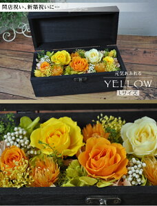 vU[uht[ Ԃ̕Δ^ [Y o bZ[WJ[h LO TvCYv[g Mtg j EFfBO VY Vw a v|[Y j   킢