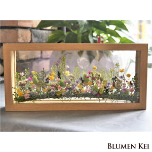 yԌ聙|vv[gzvU[uht[  ԐS ^LO v[g Mtg j EFfBO VY Vw a v|[Y j   킢  t