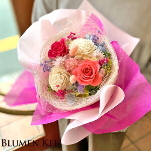 v[g Mtg vU[uht[ ԑ^ y bZ[WJ[ht v[g Mtg oYj j LO a