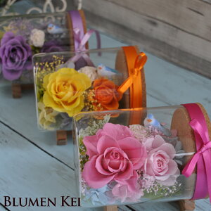 vU[uht[ K̐{gt[^ y  bZ[WJ[ht v[g Mtg oYj j LO a v|[Y ސEj o 