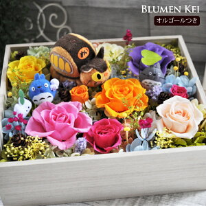  vU[uht[   ƂȂ̃gg AW IS[t^̓ LO v[g Mtg j EFfBO a v|[Y j   LED 