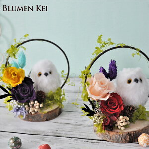 ؂芔ӂ낤AW^vU[uht[  i`Ebhx[X v[g Mtg j EFfBO a v|[Y j   킢  t[ JX