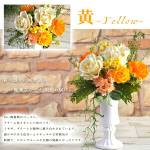 GNEt[- vU[uht[ Mtg v[g 蕨 a   ͂Ȃ  a ސEj j LO CeA  ʉ ߋ ЂȍՂ 