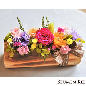 vU[uht[ Ԑ؂芔 ^bZ[WJ[h LO v[g Mtg j EFfBO a v|[Y j   킢  JXj wj Tv