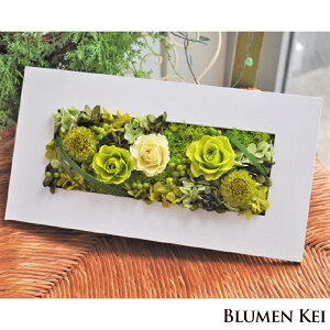  vU[uht[  O[K[fM^̓ bZ[WJ[h LO v[g Mtg j EFfBO VY Vw a v|[Y j   킢