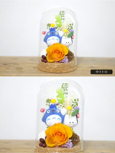 yWuJvZzgg WW  LO wj v[g Mtg j EFfBO a v|[Y j    t[ wj  j  