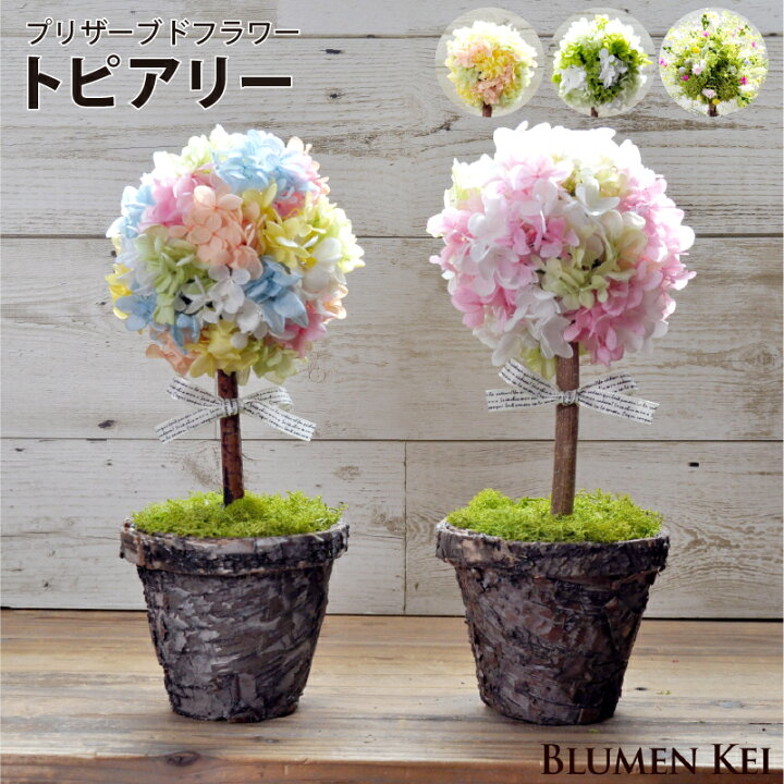 楽天市場】送料無料 プリザーブドフラワー 花 トピアリー／母の日 