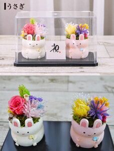 yԌ聙|vv[gzvU[uht[ a J^Aj}Y^v[g Mtg  O N a j   c c  ʂ  ӂ낤 