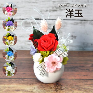  vU[uht[  mʁ^P[Xt bZ[WJ[h v[g Mtg LO j a j   킢 t[ JXj wj j LO 