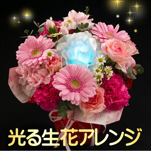    AWg  AWg ^̓ 摜zM bZ[WJ[h l v[g Mtg j EFfBO u[P a  v|[Y j  