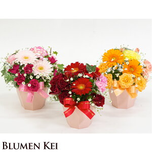 Mtg v[g   ԃAWgM^y  bZ[WJ[ht 摜zM t[ a j v[g Mtg LO TvCY Əj ސEj 