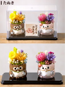 y|Cg10{11/15`11/27܂ŁzvU[uht[ a J^Aj}Y^v[g Mtg  O N a j   c c  ʂ  ӂ낤 