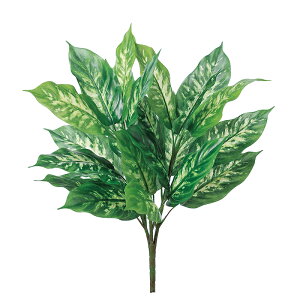 fBtFoLAubV EJ@QCgO-a-41895-051vyascaAXJz