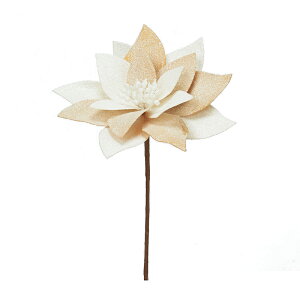 |CZ`A @ ax60213-000 ԃA[eBtBVyascaAXJz