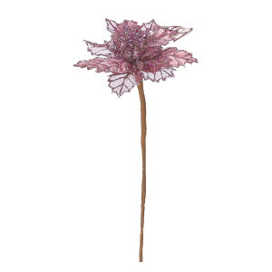 |CZ`AsbN p|v ax60249-007 ԃA[eBtBVyascaAXJz