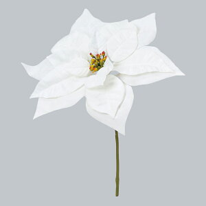 xxbg|CZ`A zCg ax69999-001 ԃA[eBtBVyascaAXJz