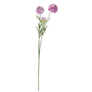 �X�J�r�I�TX3 ���C���b�N a-33908-017 �yasca�A�X�J�z