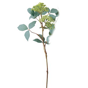 �V�L�~�A �O���|�� a-41430-051a �yasca�A�X�J�z