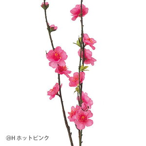 Xv[ zbgsN a-03850-023h yascaAXJz