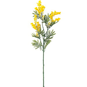 ~U CG-a-31351-010yascaAXJz