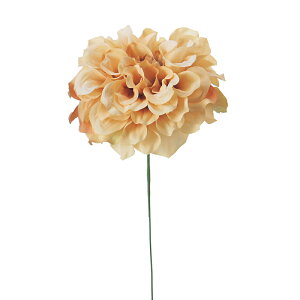 _AsbN \tgx[W a-31451-008a ԃA[eBtBVyascaAXJz