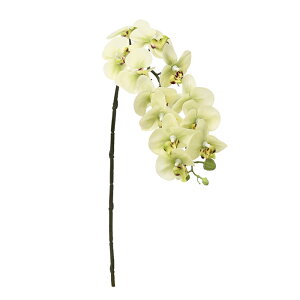 �y���ԁ@�A�[�e�B�t�B�V�����t�����[�z�R�`���E����×12�@�ڂ�×3 �N���[���O���[�� a-33330-053a �yasca�A�X�J�z