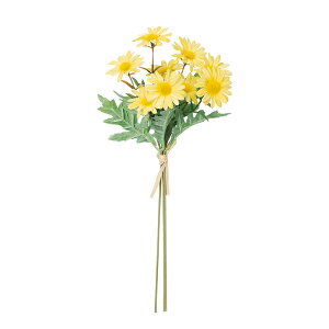 yԁ@A[eBtBVt[z}[Kbgf[W[o`i13{j CG| a-33397-010 yascaAXJz