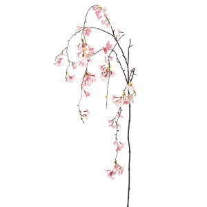 yԁ@A[eBtBVt[z×85@ڂ×6 zCgsN a-33543-001p yascaAXJz