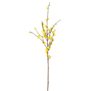 MEX45 CG-a-33544-010yascaAXJz