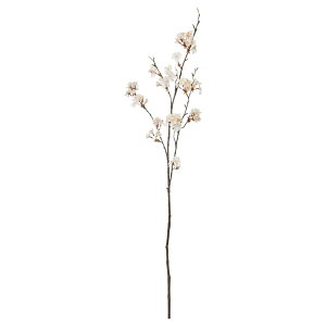 yԁ@A[eBtBVt[z×50@ڂ×10 sN a-33561-003 yascaAXJz