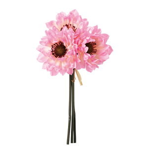 yԁ@A[eBtBVt[zAllo`i13{j sN a-33614-003 yascaAXJz