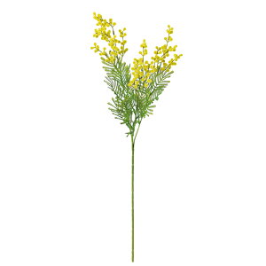 ~U CG|O| a-33673-010g yascaAXJz