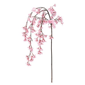 �������X182�@�ڂ�X3 �s���N a-33743-003 �yasca�A�X�J�z