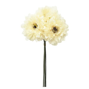 Allo`i13{j \tgCG| a-33847-020 yascaAXJz