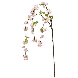 X38 sNzCg a-33871-003w yascaAXJz